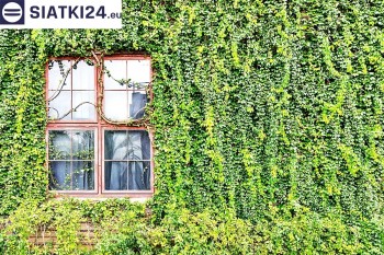 Siatki Świebodzin - Siatka z dużym oczkiem - wsparcie dla roślin pnących na altance, domu i garażu dla terenów Świebodzina